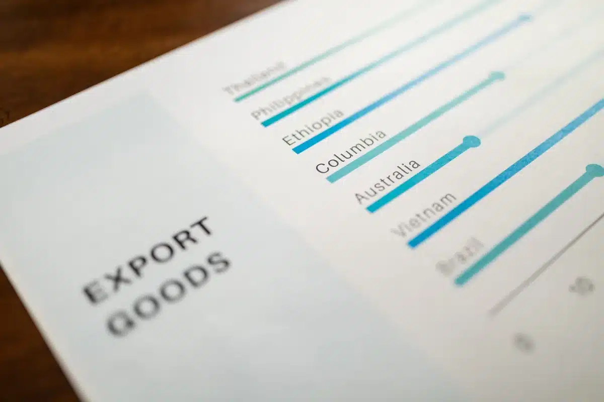 Comparaison des performances des marchés boursiers domestiques et internationaux