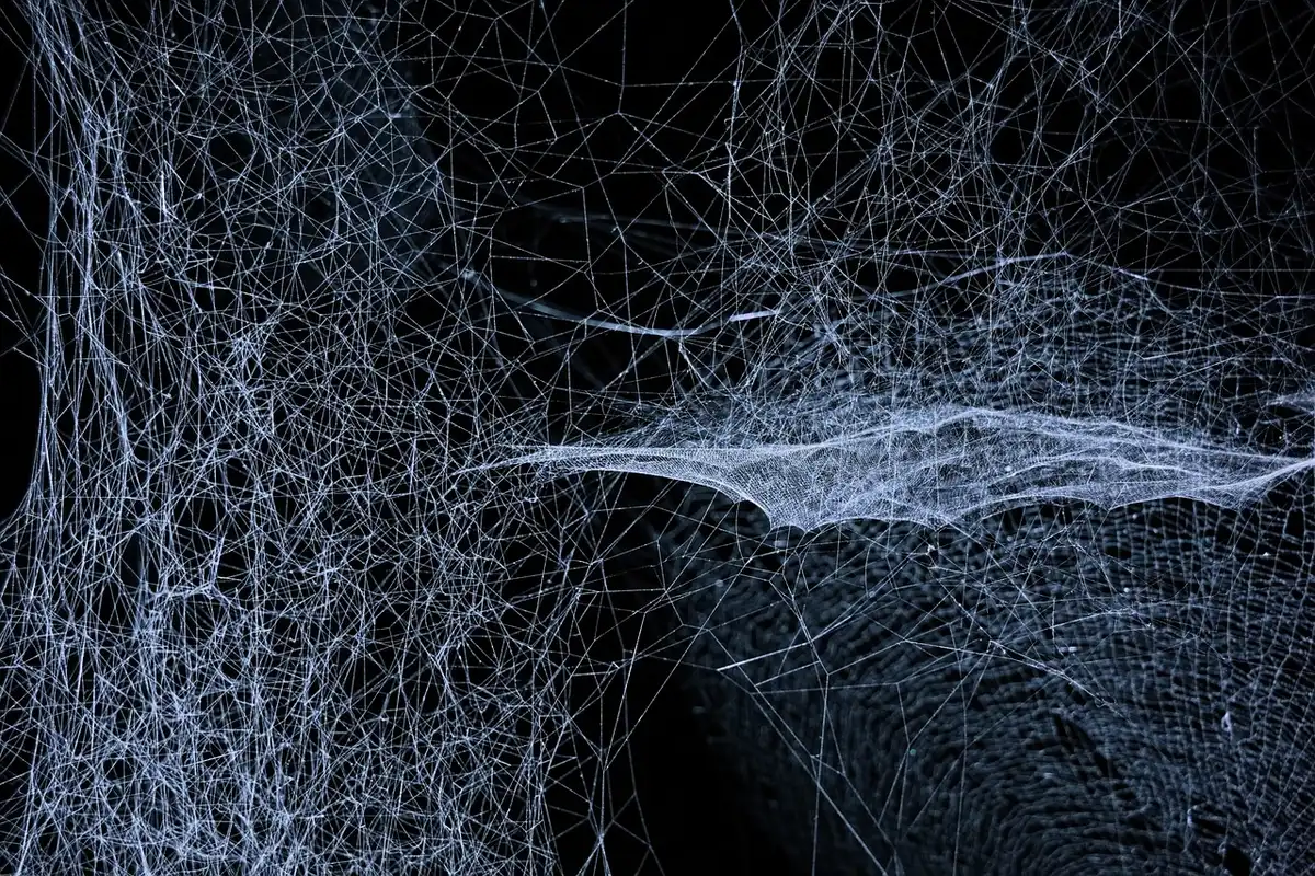 Diagramme abstrait représentant plusieurs blockchains reliées par un réseau central