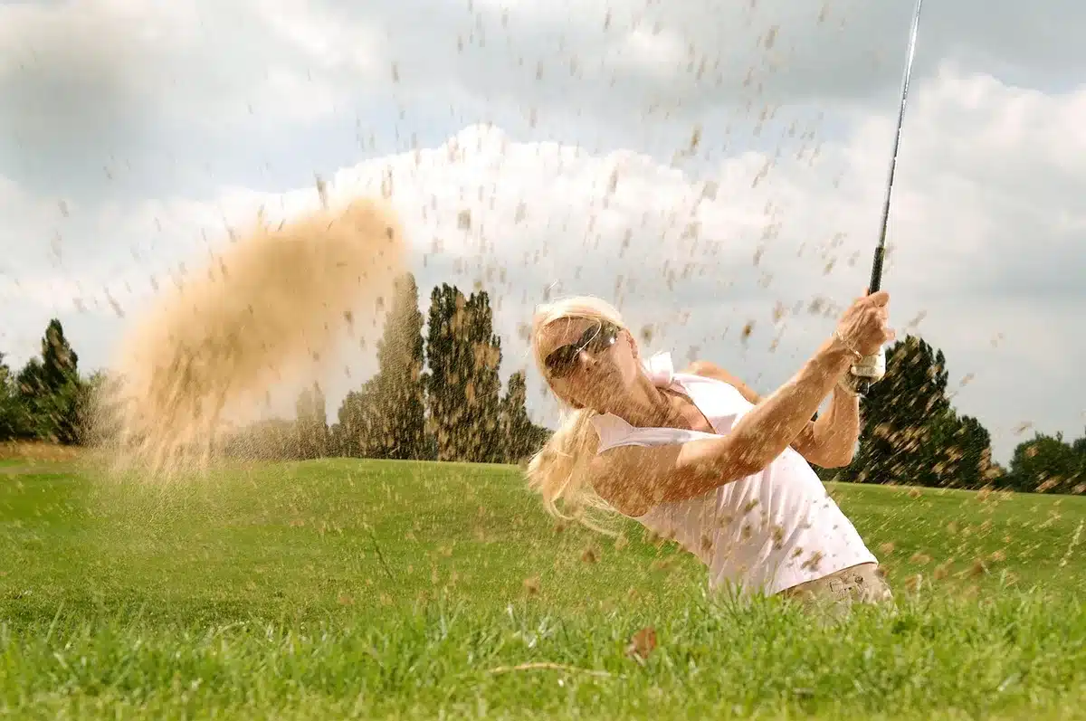 Personne montrant un portfolio avec projets et compétences transférables