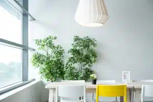 Comment un revenu garanti permet de dépenser sans stress à la retraite ?