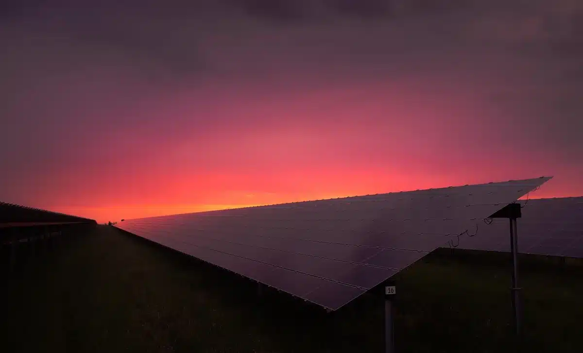 Panneaux solaires dans un champ sous un ciel clair
