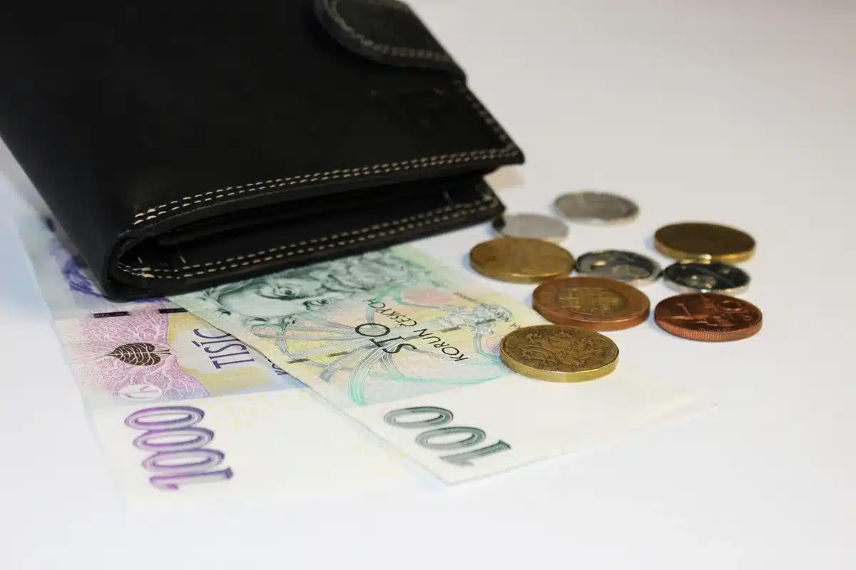Utilisateur consultant un wallet sur smartphone pour se préparer à un airdrop